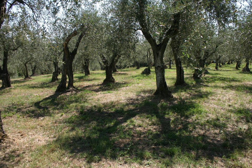 Casa Fontanino Bed & Breakfast Altopascio Dış mekan fotoğraf