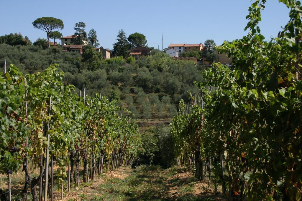 Casa Fontanino Bed & Breakfast Altopascio Dış mekan fotoğraf